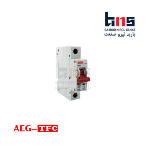 کلید مینیاتوری تک فاز 10 آمپر آ ا گ مدل DE91 کد C10 (بسته 12 عددی)