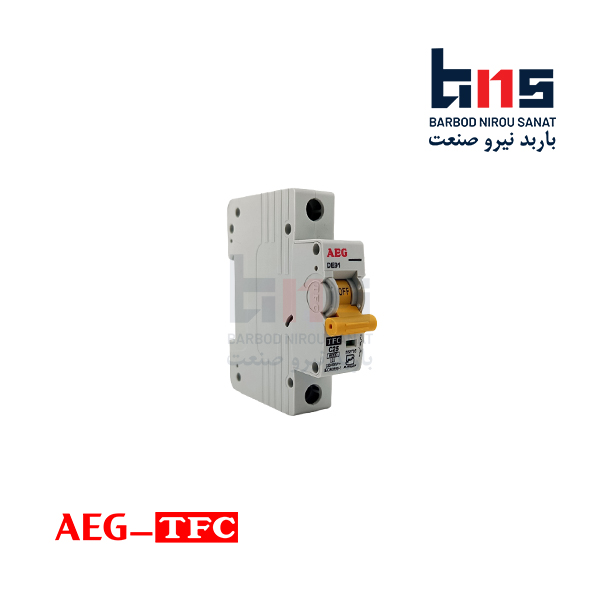 کلید مینیاتوری تک فاز 25 آمپر آ ا گ مدل DE91 کد C25 (بسته 12 عددی)